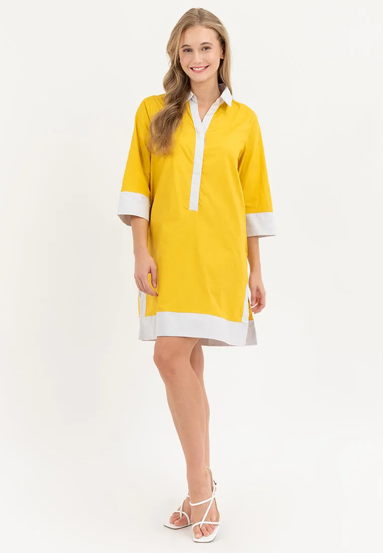 Dominique Two-toned Tunic Dress