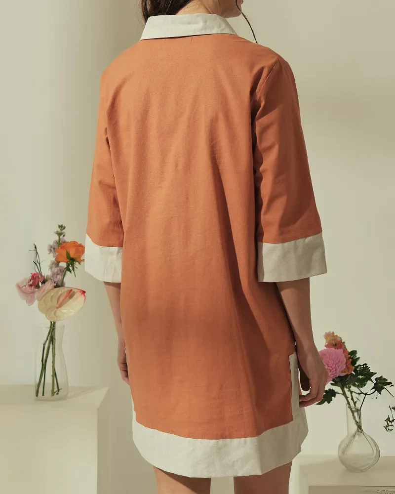 Dominique Two-toned Tunic Dress