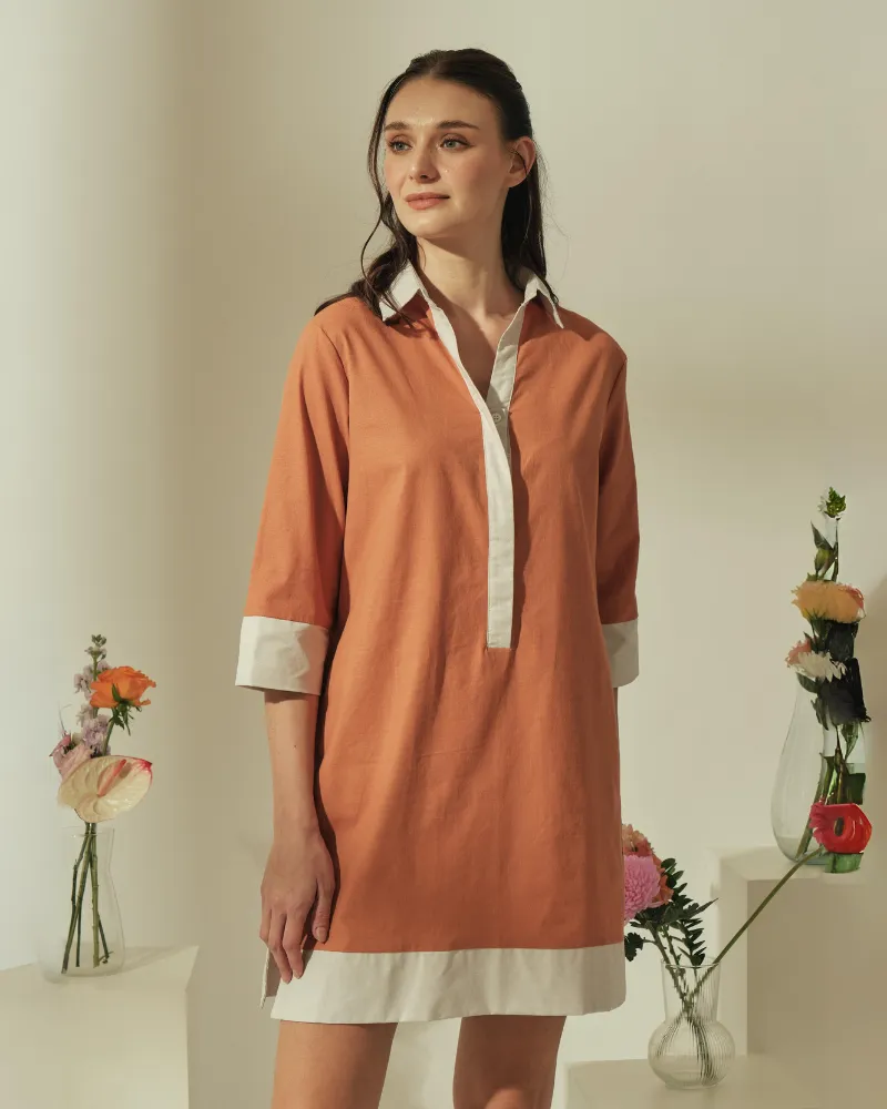 Dominique Two-toned Tunic Dress